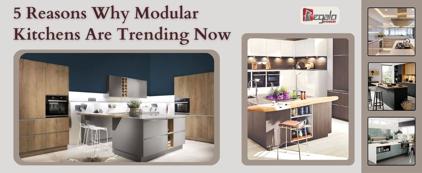 5 Reasons Why Modular Kitchens Are Trending Now