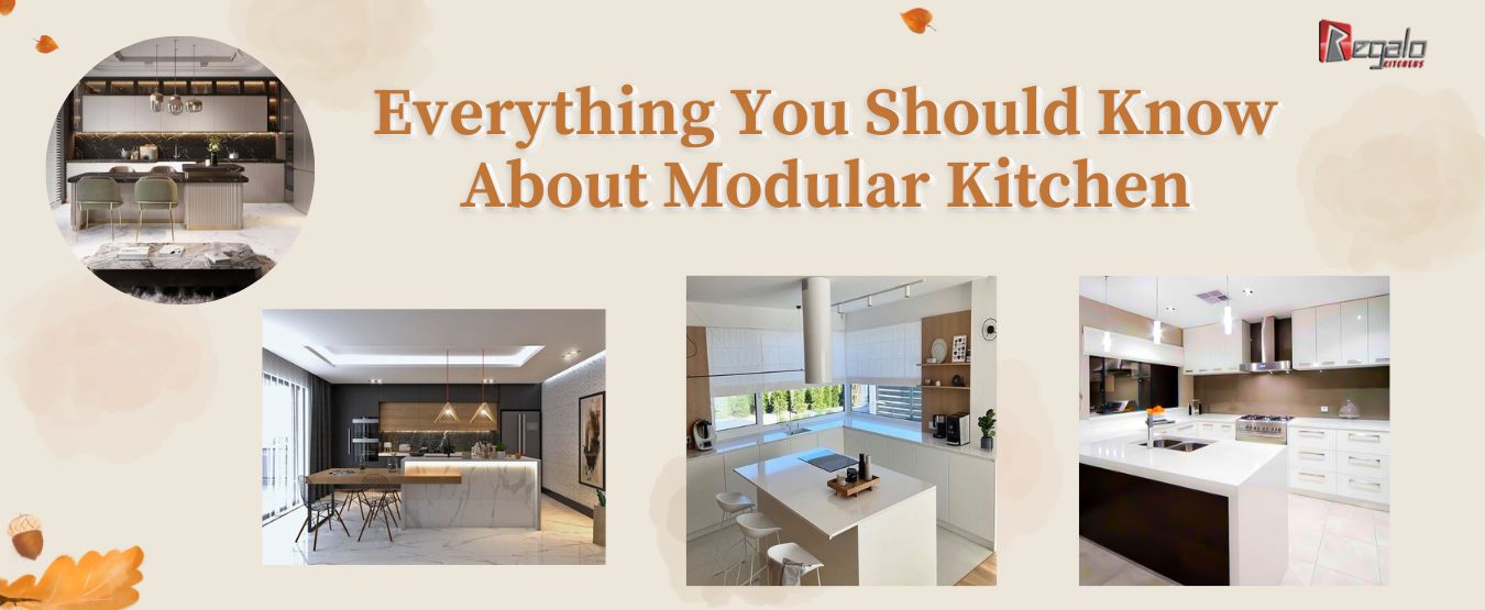 Everything You Should Know About Modular Kitchen